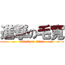 進撃の毛寬 (attack on titan)