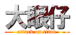 大眼仔 (attack on titan)
