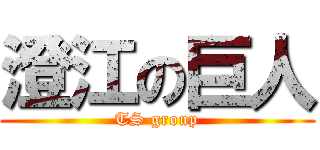 澄江の巨人 (TS group)