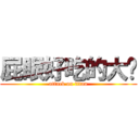 屁眼好吃的大黃 (attack on titan)