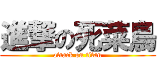 進撃の死菜鳥 (attack on titan)