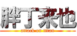 胖丁来也 (attack on titan)