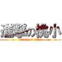 進撃の桃小 (attack on titan)