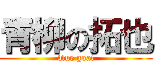 青柳の拓也 (blue goat)