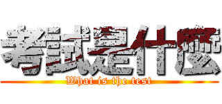 考試是什麼 (What is the test)