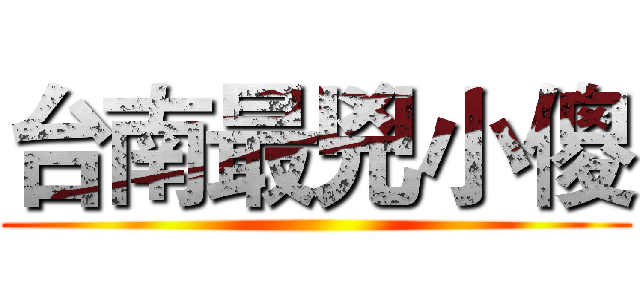 台南最兇小傻 ()