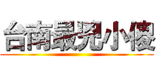 台南最兇小傻 ()
