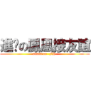 進擊の鳳凰接友誼 (attack on -FH-)
