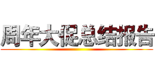 周年大促总结报告 ()