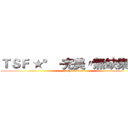 ＴＳＦ ★°·完美〃無缺集團〃 (PerFectTeam)