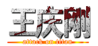 王庆刚 (attack on titan)