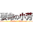 要命の小芳 (attack on titan)