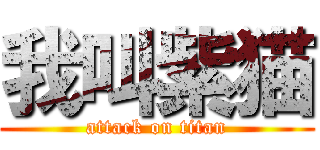 我叫紫猫 (attack on titan)