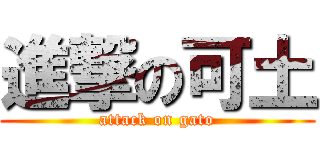 進撃の可土 (attack on gato)