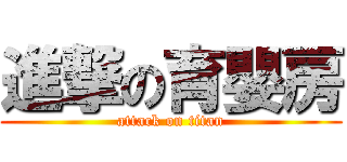 進撃の育嬰房 (attack on titan)