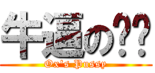 牛逼の团长 (Ox\'s Pussy)