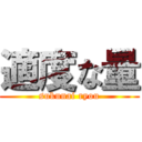 適度な量 (sukunai ryou)