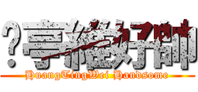 黃亭維好帥 (HuangTingWei Handsome)