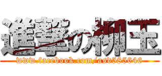 進撃の柳玉 (www.facebook.com/asd585646)