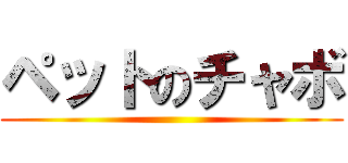 ペットのチャボ ()