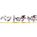 ペットのチャボ ()