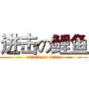 进击の鲤鱼 (attack on titan)