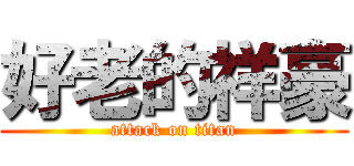 好老的祥豪 (attack on titan)
