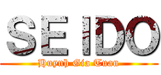 ＳＥＩＤＯ (Huynh Gia Tuan)