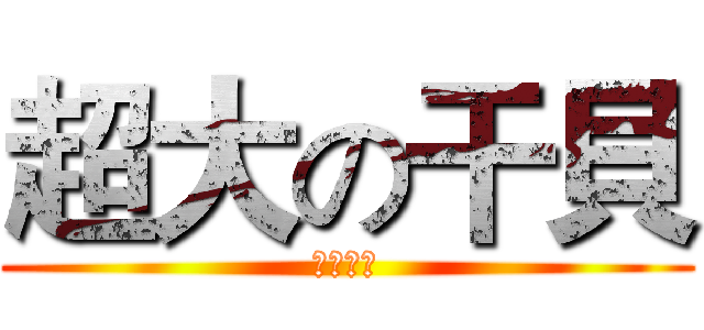 超大の干貝 (超大干貝)