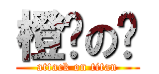 橙囍の逛 (attack on titan)