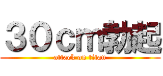 ３０ｃｍ勃起 (attack on titan)