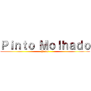 Ｐｉｎｔｏ Ｍｏｌｈａｄｏ (Picles)