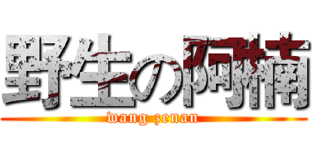 野生の阿楠 (wang zenan)