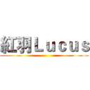 紅羽Ｌｕｃｕｓ ()
