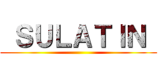  ＳＵＬＡＴＩＮ  ()