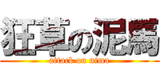 狂草の泥馬 (attack on nima)