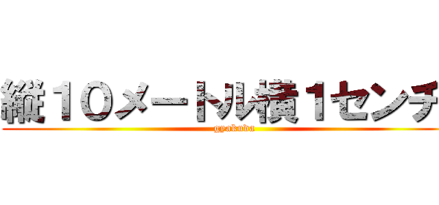 縦１０メートル横１センチ！ (gyakuda)