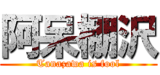 阿呆棚沢 (Tanazawa is fool)