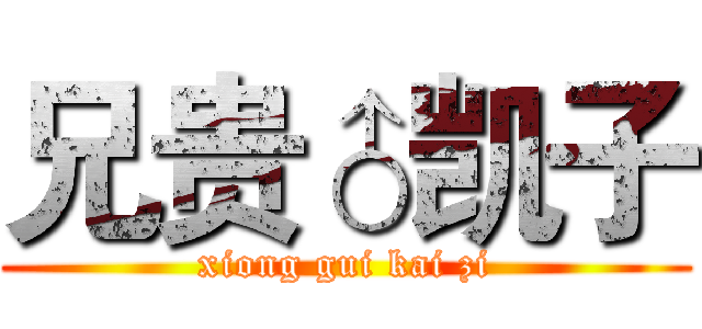 兄贵♂凯子 (xiong gui kai zi)