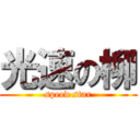 光速の柳 (speed star)