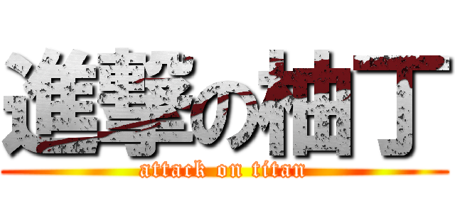 進撃の柚丁 (attack on titan)
