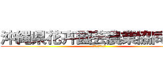 沖縄県花卉園芸農業協同組合 (太陽の花　青年部　)