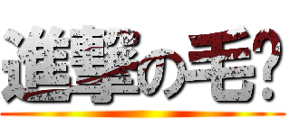 進撃の毛卡 ()