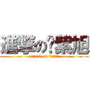 進撃の赵紫旭 (attack on titan)