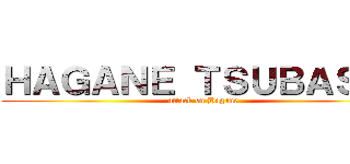 ＨＡＧＡＮＥ ＴＳＵＢＡＳＡ  (attack on Hagane)