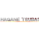 ＨＡＧＡＮＥ ＴＳＵＢＡＳＡ  (attack on Hagane)
