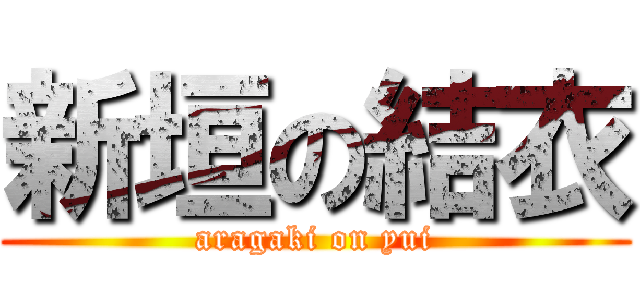 新垣の結衣 (aragaki on yui)