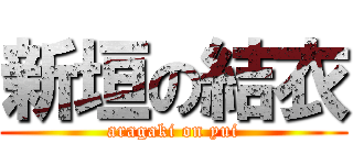 新垣の結衣 (aragaki on yui)