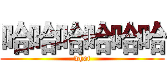 哈哈哈哈哈哈 (what)