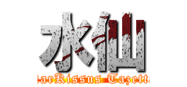 水仙 (NarKissus Tazetta)